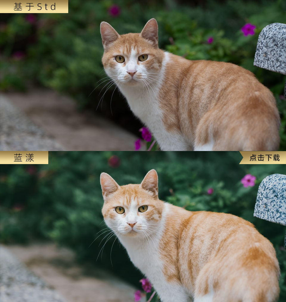 蓝漾