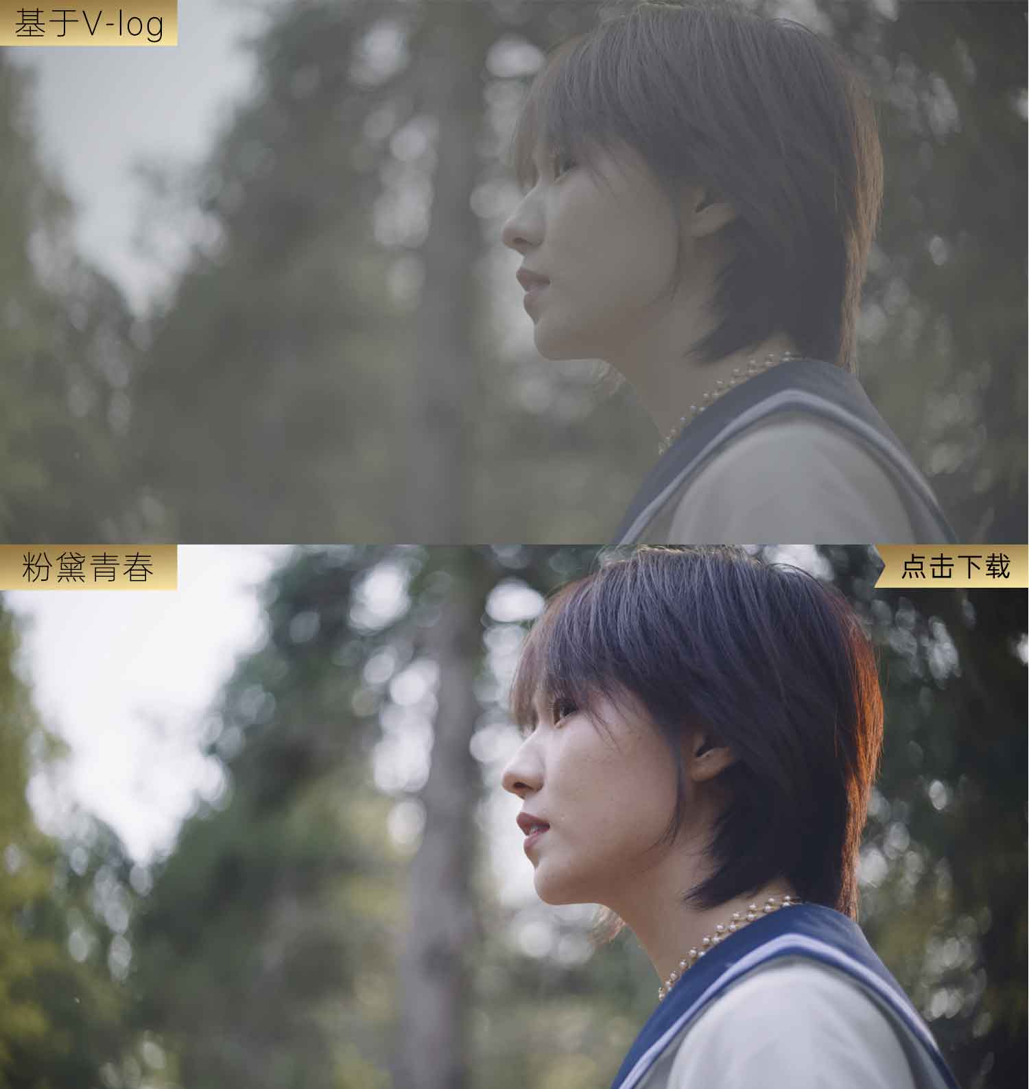粉黛青春