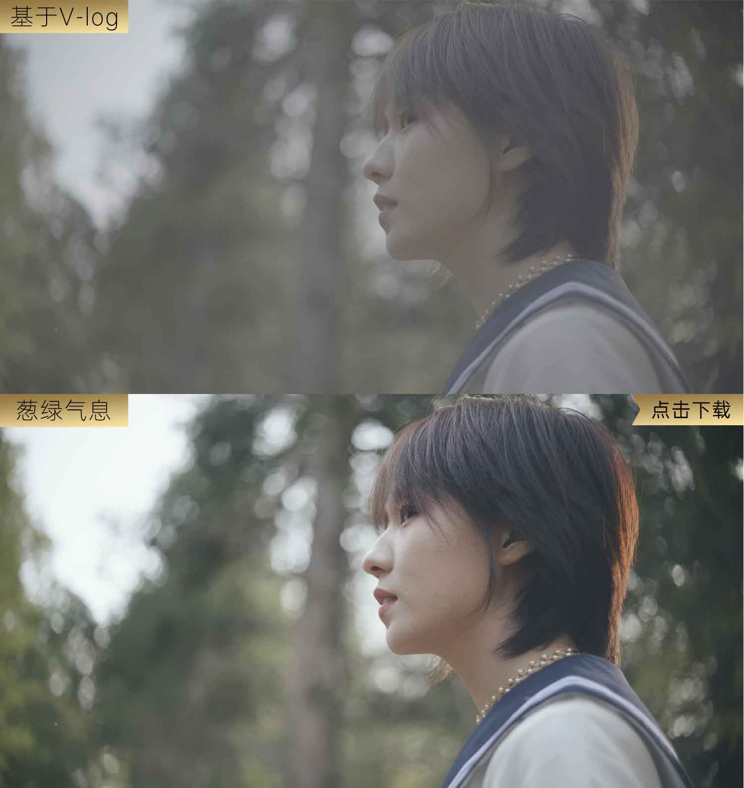 葱绿气息